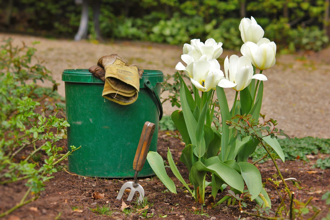 How to Start a Successful Eco-Friendly Container Garden?